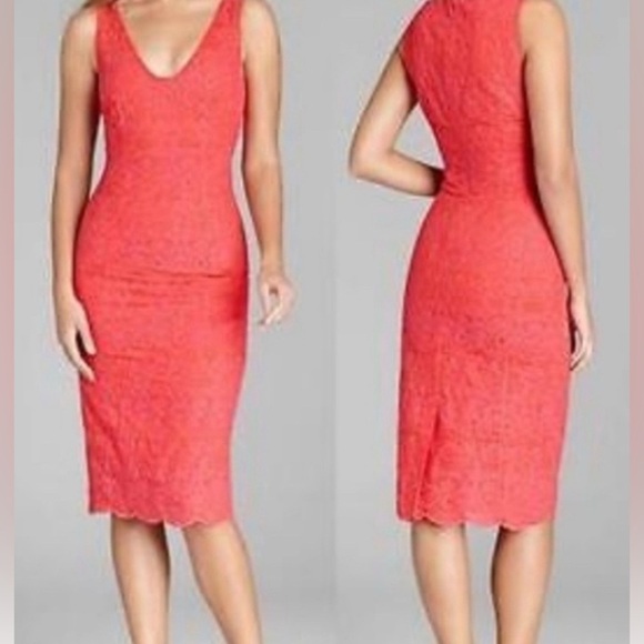 Tory Burch Cameron Lace Sheath Dress Size 8, Style #: 12141459 - Picture 3 of 14
